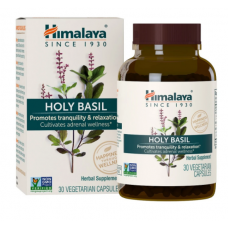 Holy Basil